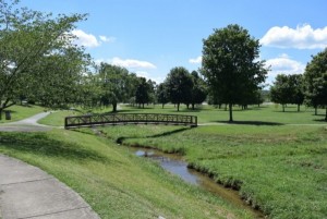 Bridge-in-A.K.-Bissell-Park