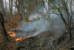 New River Highway Fire