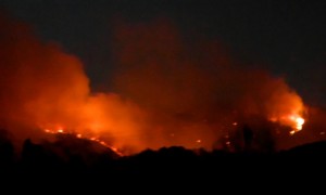 Walden Ridge Fire