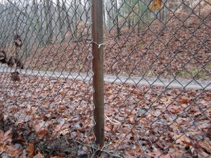 Hole in Y-12 Perimeter Fence