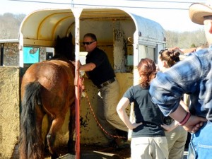 Oak Ridge Animal Control Officers Rescue Horse