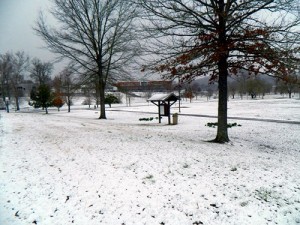 March Snowfall in Oak Ridge