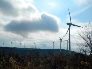 Buffalo Mountain Wind Farm