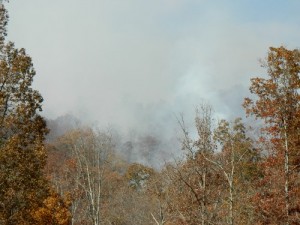 Walden Ridge Fire and Dutch Valley Road