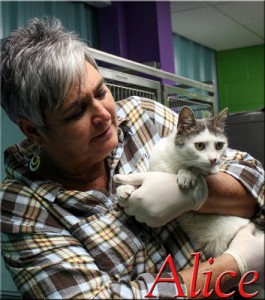 Alice at Oak Ridge Animal Shelter