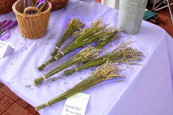 Lavender Bunches