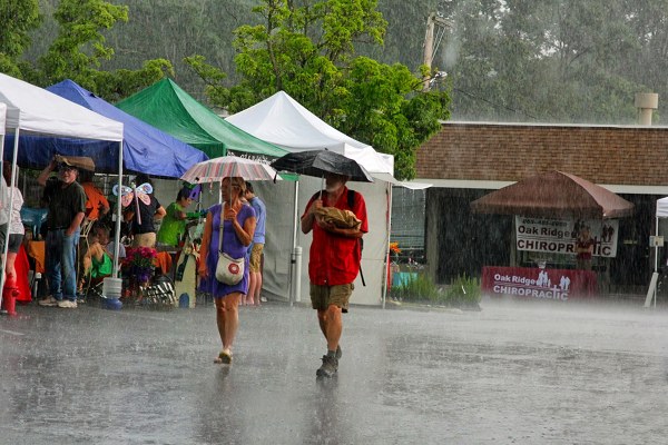 Rain at Lavender Festival
