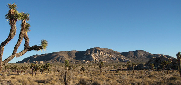 Ryan Mountain at Joshua Tree National Park