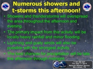Showers and Thunderstorms