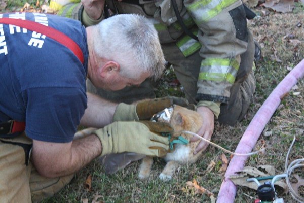Oak Ridge Firefighter Bryan Chase Cat Rescue