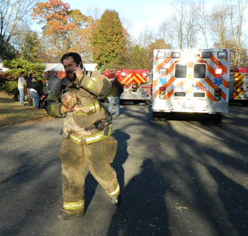 Steve Newby at Ridge Lane Fire with Dog Rescue