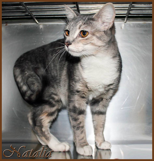Pet of the Day: Natalia