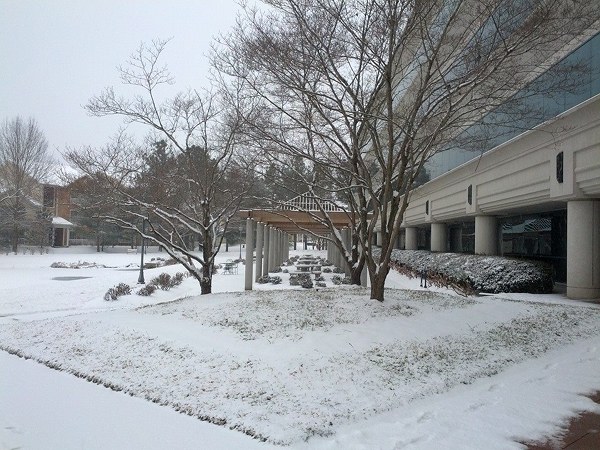SAIC Snow on Feb. 24, 2015