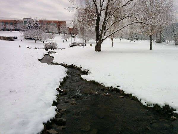 Snow at Civic Center Creek on Feb. 26, 2015