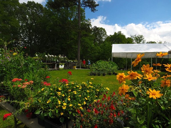 UT Arboretum Society Spring Plant Sale 2015