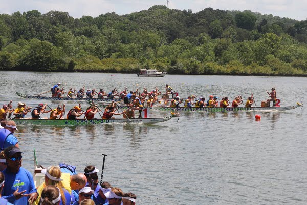 2015 Oak Ridge Dragon Boat Festival Race