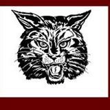 Oak Ridge Wildcats