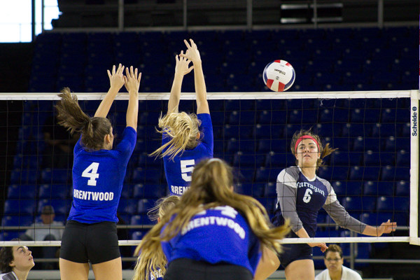 Farragut Alexis Parker and Brentwood Volleyball Championship Oct. 23, 2015