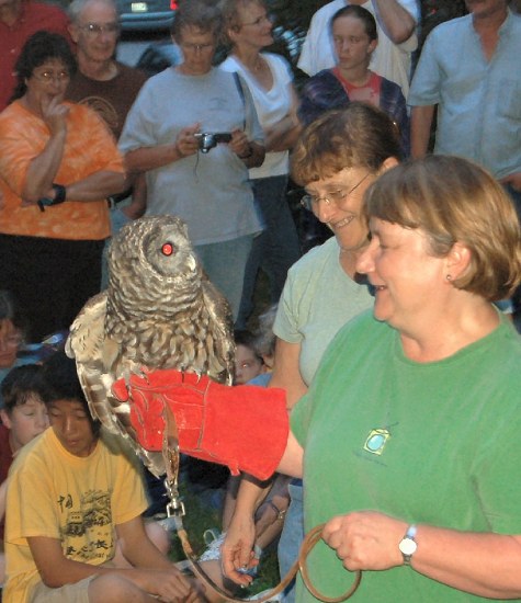 UTAS Owl Prowl
