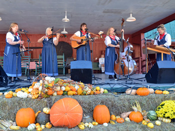 Tennessee Fall Homecoming Musicians
