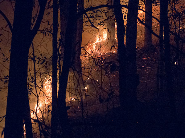 Walden-Ridge-Fire-Nov-24-2015