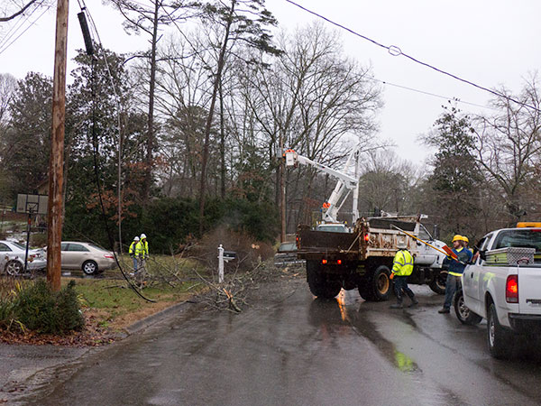 Mohawk-Road-Tree-Damage-Jan-22-2016