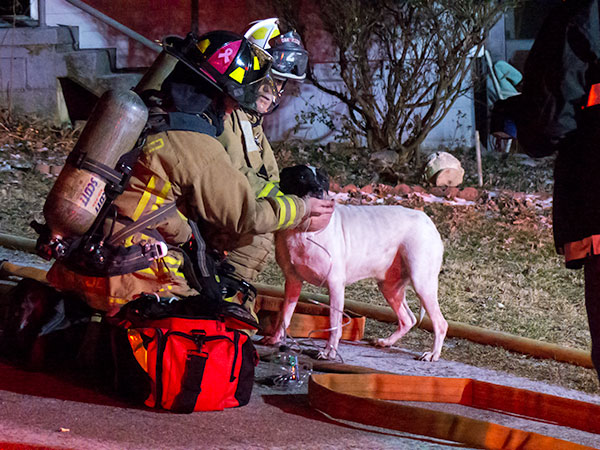 South-Benedict-Fire-Dog-Rescue-Firefighters-Oxygen-Feb-14-2016