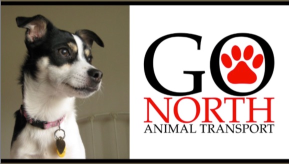 Go North Animal Transport