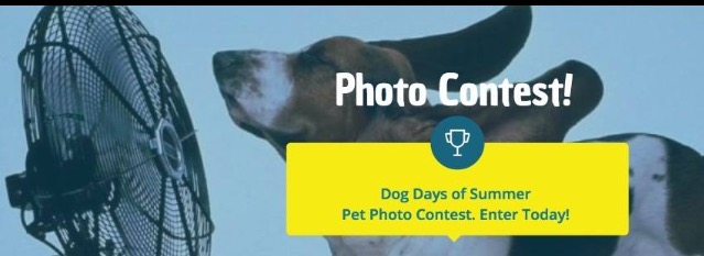 Dog Days of Summer Pet Photo Contest August 2016