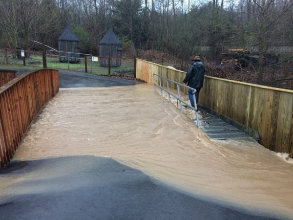 The Little Ponderosa Zoo in Clinton has flooded. The damage is unknown, but the animals are safe and dry, the zoo said Wednesday afternoon, March 1, 2017. (Photo by Little Ponderosa Zoo)