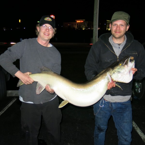Dylan Gano, left, and Stephen Paul with the new pending state record musky caught by Paul on March 2, 2017, in Melton Hill Reservoir. The fish weighed 43 pounds, 14 ounces and measured 51 and 3/8 inches in length. (Photo by TWRA)