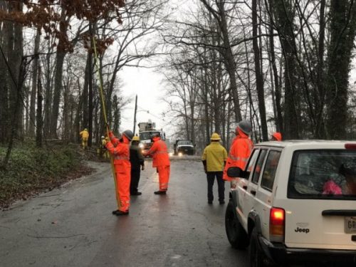 Oak Ridge crews work to clear downed tree and power lines on Westover Drive on Wednesday, March 1, 2017. (Photo courtesy City of Oak Ridge)