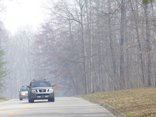 A wildfire burned about 18 acres of federal land in west Oak Ridge on Saturday afternoon, March 25, 2017. The fire was on U.S. Department of Energy land south of Whippoorwill Drive and west of Wisconsin Avenue. The fire emitted smoke that hung over neighborhood streets. (Photo by John Huotari/Oak Ridge Today)