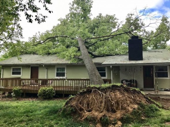 Fallen Tree House April 2017 Storms 1