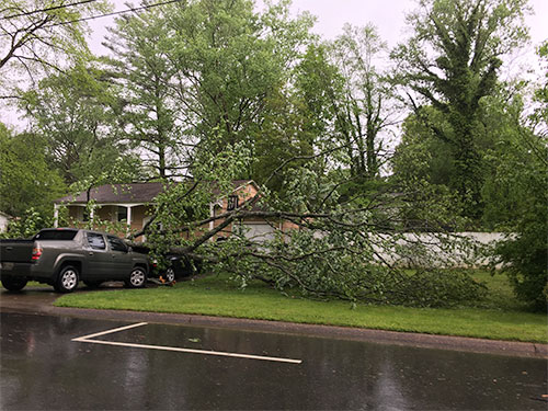 Fallen-Tree-Providence-Road-Oak-Ridge-Storms-April-2017