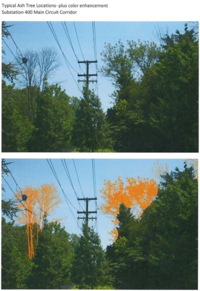 ypical ash tree locations, plus color enhancementsâ€”Substation 400 Main Circuit Corridor. (Images by City of Oak Ridge)