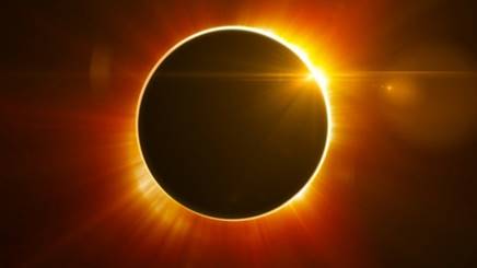 Solar eclipse (Photo courtesy UT Arboretum Society)