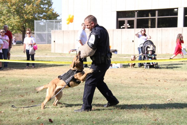 Oak Ridge Police Department K9 Officer Ray Steakley is pictured above at a K9 demonstration at the 2016 National Night Out at Alvin K. Bissell Park. (Photo courtesy City of Oak Ridge)