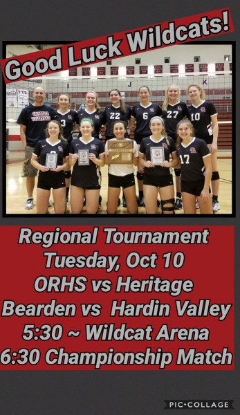 The Oak Ridge Lady Wildcats volleyball team will play in the Region 2-AAA tournament at Oak Ridge High School on Tuesday, Oct. 10, 2017. (Photo courtesy Oak Ridge volleyball)