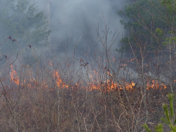 The mountaintop fire at Graves Gap along Highway 116 in north Anderson County burned more than 300 acres this week, a state official said Thursday afternoon, Nov. 30, 2017. (Photo by John Huotari/Oak Ridge Today)