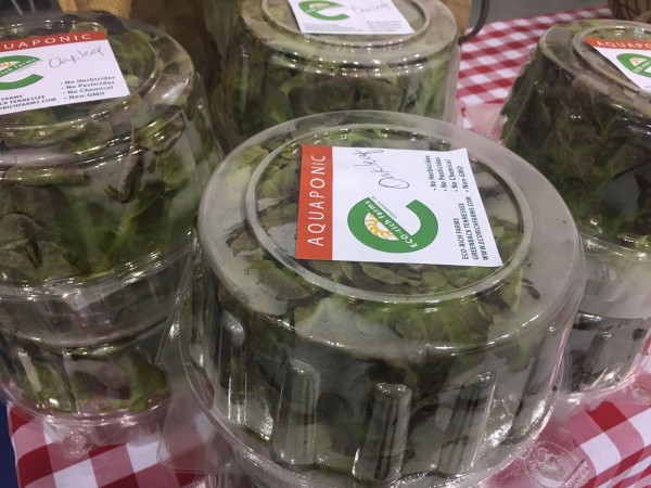 Eco Rich Farms returns to the Winter Farmers Market in Oak Ridge this year (December 2017-February 2018), offering tilapia and lettuce, grown in an aquaponic system. (Photo courtesy Grow Oak Ridge LLC)