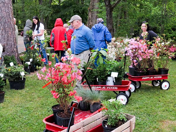 University of Tennessee Arboretum Society Spring Plant Sale (Submitted Photo)
