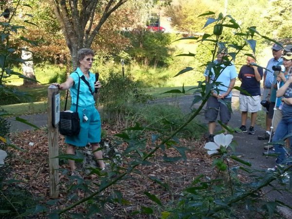 The University of Tennessee Arboretum Society will have a meet and greet followed by a spring wildflower walk at Haw Ridge Park on Saturday, May 5, 2018. Kris Light, an expert naturalist, educator, and photographer, will lead this fun, educational, and easy walk, a press release said. (Submitted photo)