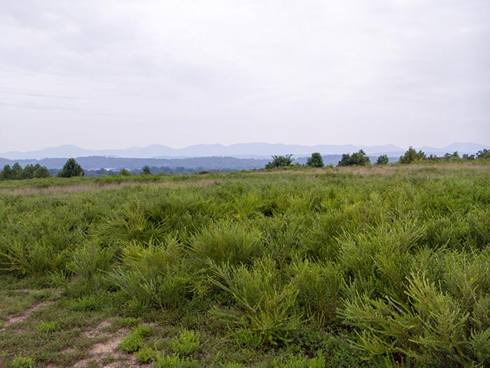 A large ridge top tract of land that features panoramic views and was once proposed as the site of a Target retail development is now for sale. The land, which is also known as The Summit, is on Pine Ridge along South Illinois Avenue between Scarboro Road/Lafayette Drive and Centrifuge Way. It's pictured above on Wednesday, Aug. 15, 2018. (Photo by John Huotari/Oak Ridge Today)