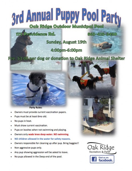 Puppy-Pool-Party-2018-flyer