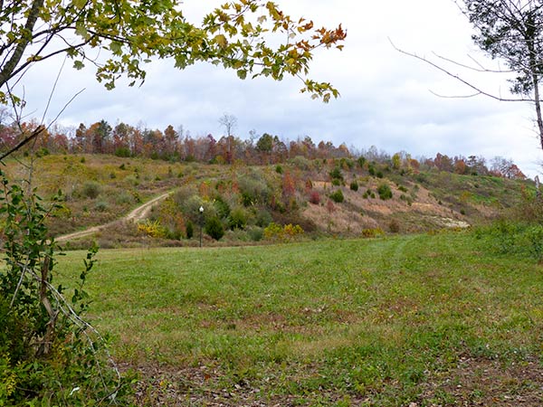 Oak Ridge officials approved a plan in November 2018 that would allow a new residential development on more than 100 acres off Edgemoor Road in east Oak Ridge. This is the view looking toward the part of the development that would be called Harbour Pointe A and Harbour Pointe B on Thursday, Nov. 8, 2018. (Photo by John Huotari/Oak Ridge Today)