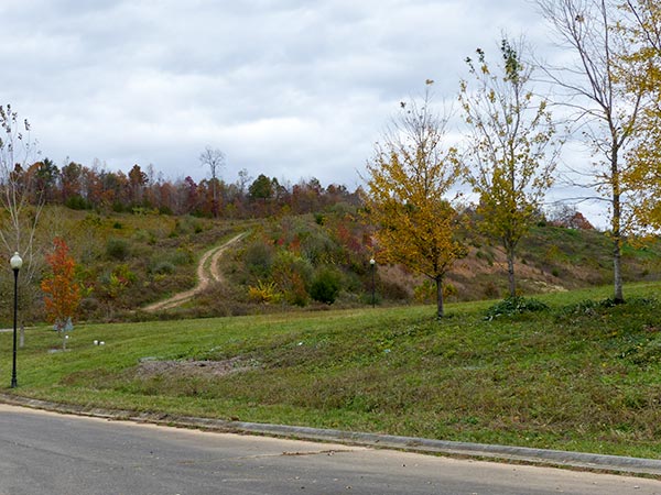 Oak Ridge officials approved a plan in November 2018 that would allow a new residential development on more than 100 acres off Edgemoor Road in east Oak Ridge. This is the view looking toward the part of the development that would be called Harbour Pointe A and Harbour Pointe B on Thursday, Nov. 8, 2018. (Photo by John Huotari/Oak Ridge Today)