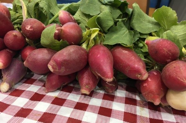 Radishes are pictured above at the Winter Farmers' Market at St. Mary's School gym in Oak Ridge. (Photo courtesy Winter Farmers' Market)
