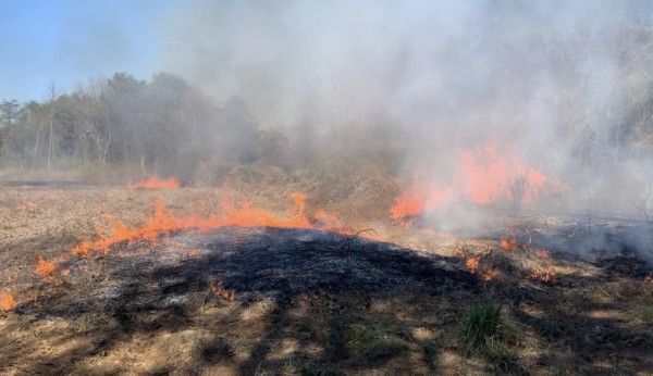 Firefighters used back burns, controlled fires that eliminate fuel, to help contain a large fire that burned grass and brush near the railroad tracks at Elza Drive in east Oak Ridge on Friday afternoon, March 22, 2019. (Photo courtesy City of Oak Ridge/Oak Ridge Fire Department)