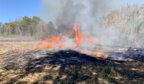 Firefighters used back burns, controlled fires that eliminate fuel, to help contain a large fire that burned grass and brush near the railroad tracks at Elza Drive in east Oak Ridge on Friday afternoon, March 22, 2019. (Photo courtesy City of Oak Ridge/Oak Ridge Fire Department)